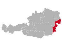 Duży hodowca i szczenięta Münsterländer w Burgenlandzie,Bgld, BL, Sonnenland, Weinland