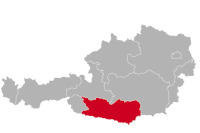 Duży hodowca i szczenięta Münsterländer w Karyntii,Karyntia, KTN, prowincja Karyntia