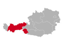 Duży hodowca i szczenięta Münsterländer w Tyrolu,T